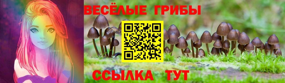 Советская Гавань  Галлюциногенные грибы MAGIC MUSHROOMS  Вход с VPN 